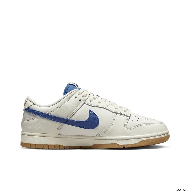 Nike Dunk Retro Style White and Blue Shoes