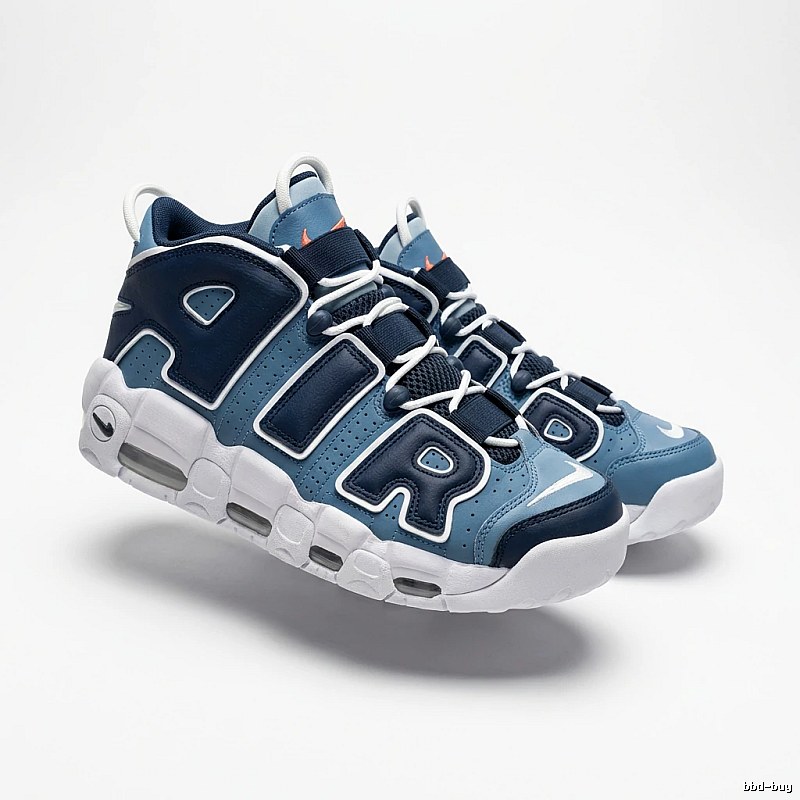 Nike Pippen Retro Style Blue and White Shoes